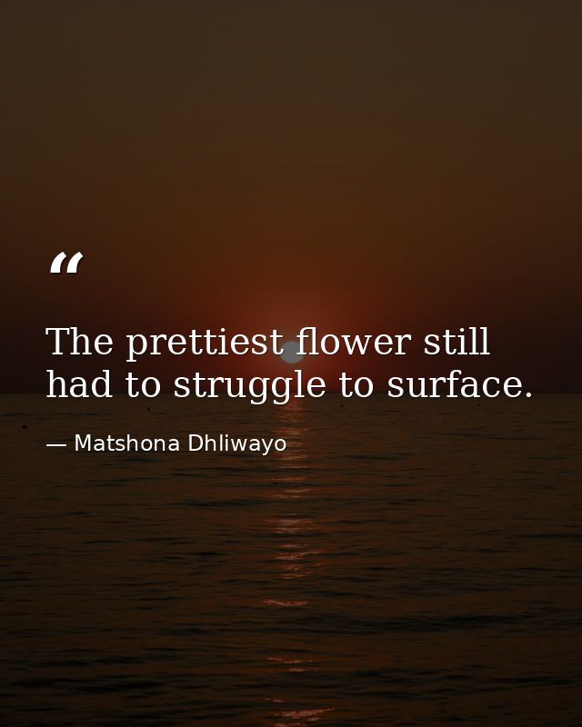 The prettiest flower still had to struggle to surface. — Matshona Dhliwayo