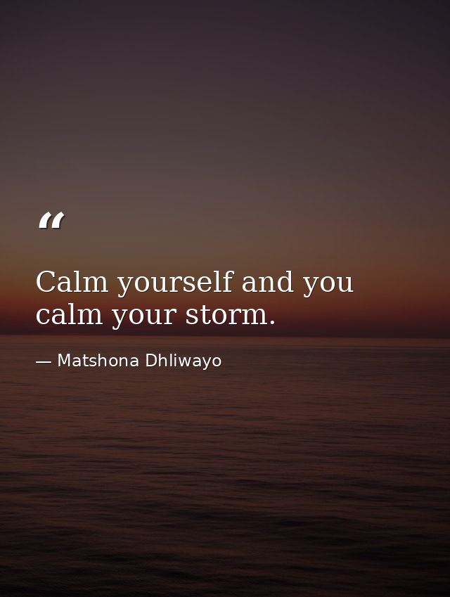 Calm yourself and you calm your storm. — Matshona Dhliwayo