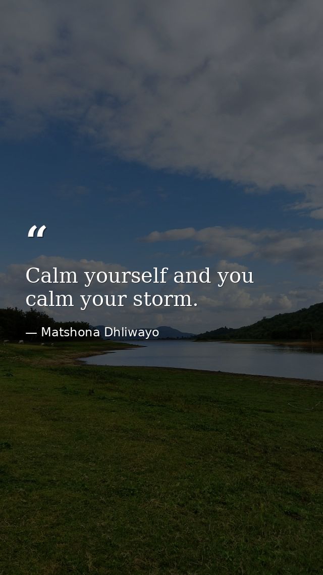 Calm yourself and you calm your storm. — Matshona Dhliwayo