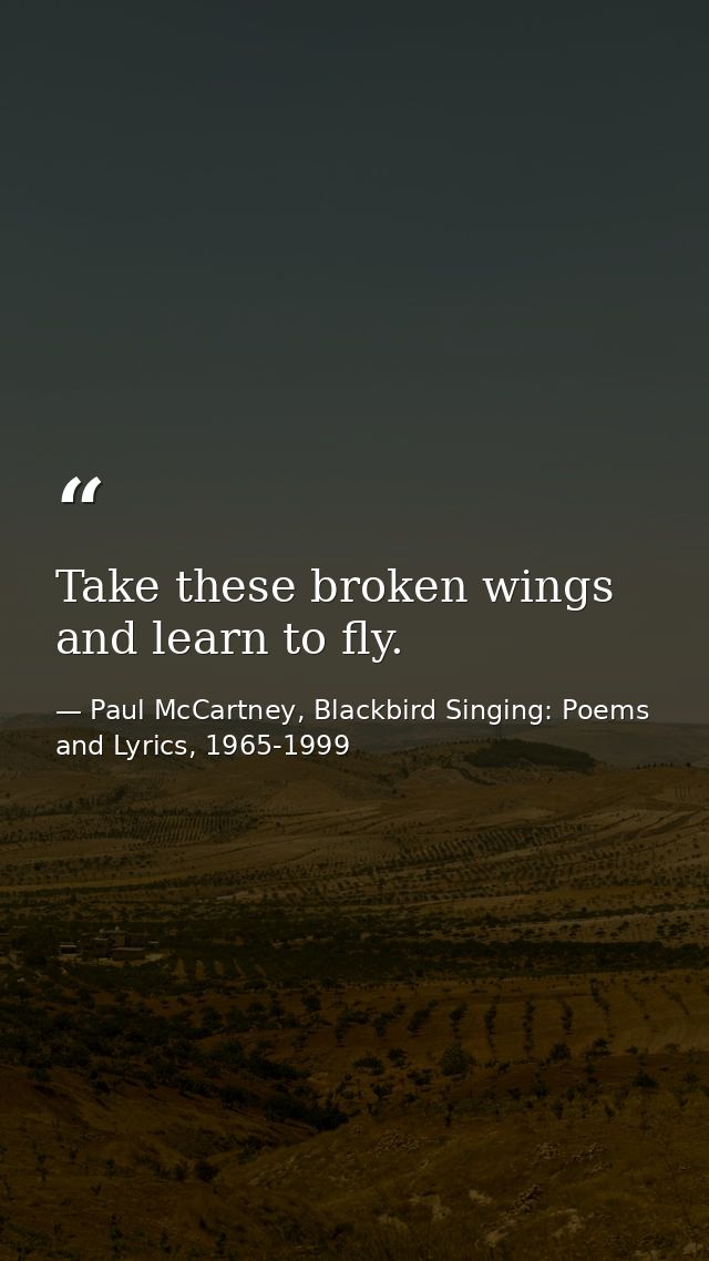Take these broken wings and learn to fly. — Paul McCartney, Blackbird Singing: Poems and Lyrics, 1965-1999