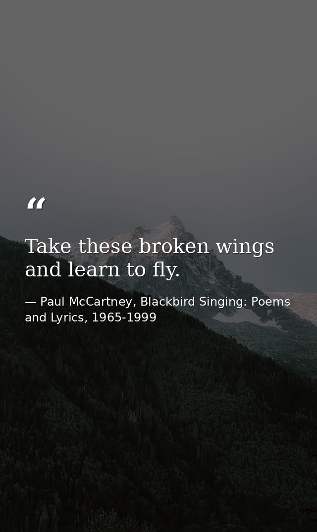 Take these broken wings and learn to fly. — Paul McCartney, Blackbird Singing: Poems and Lyrics, 1965-1999