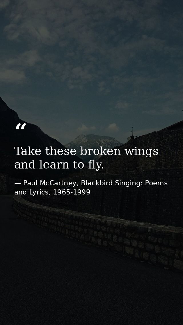 Take these broken wings and learn to fly. — Paul McCartney, Blackbird Singing: Poems and Lyrics, 1965-1999