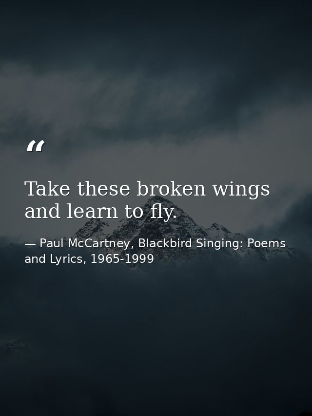 Take these broken wings and learn to fly. — Paul McCartney, Blackbird Singing: Poems and Lyrics, 1965-1999