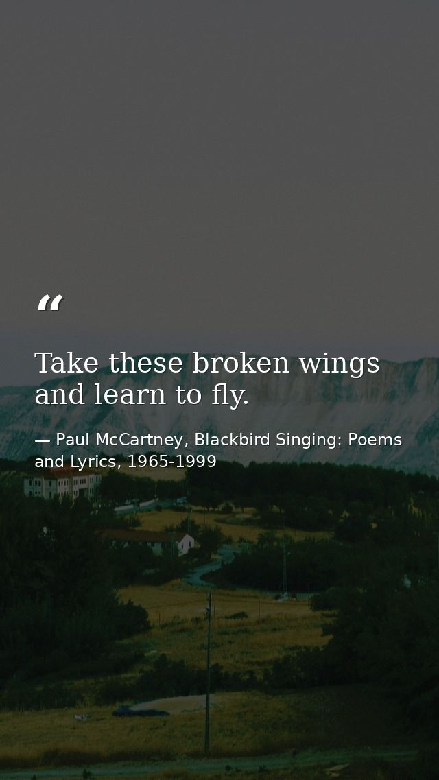 Take these broken wings and learn to fly. — Paul McCartney, Blackbird Singing: Poems and Lyrics, 1965-1999