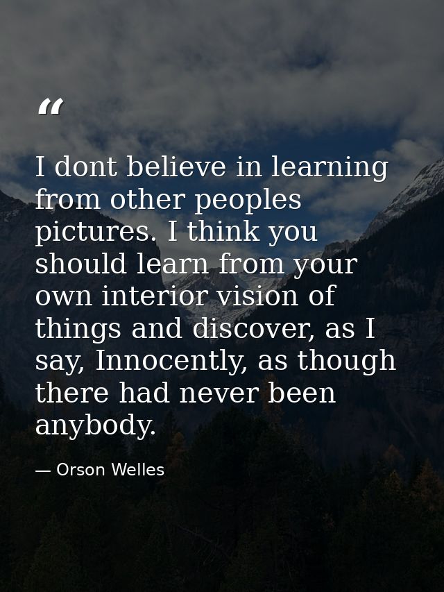 I dont believe in learning from other peoples pictures. I think you should learn from your own interior vision of things — Orson Welles