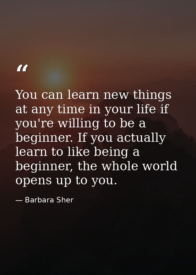 You can learn new things at any time in your life if you're willing to be a beginner. If you actually learn to like bein — Barbara Sher
