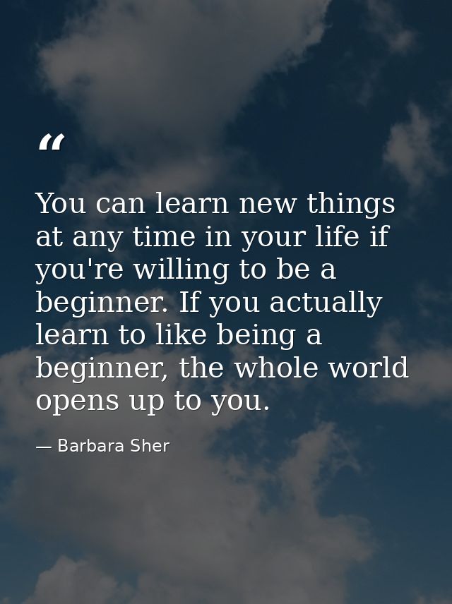 You can learn new things at any time in your life if you're willing to be a beginner. If you actually learn to like bein — Barbara Sher