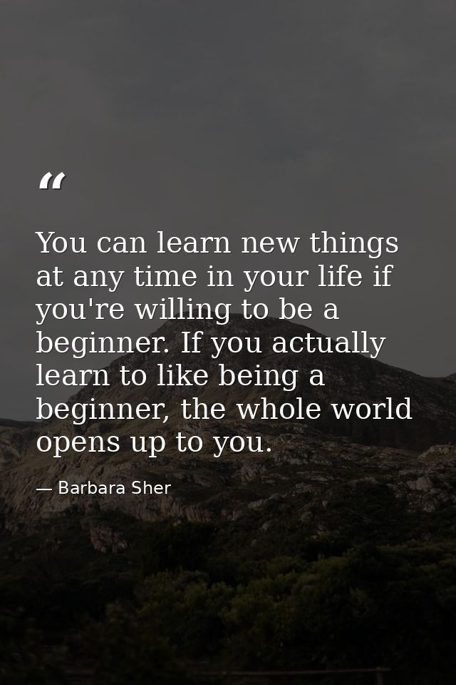 You can learn new things at any time in your life if you're willing to be a beginner. If you actually learn to like bein — Barbara Sher