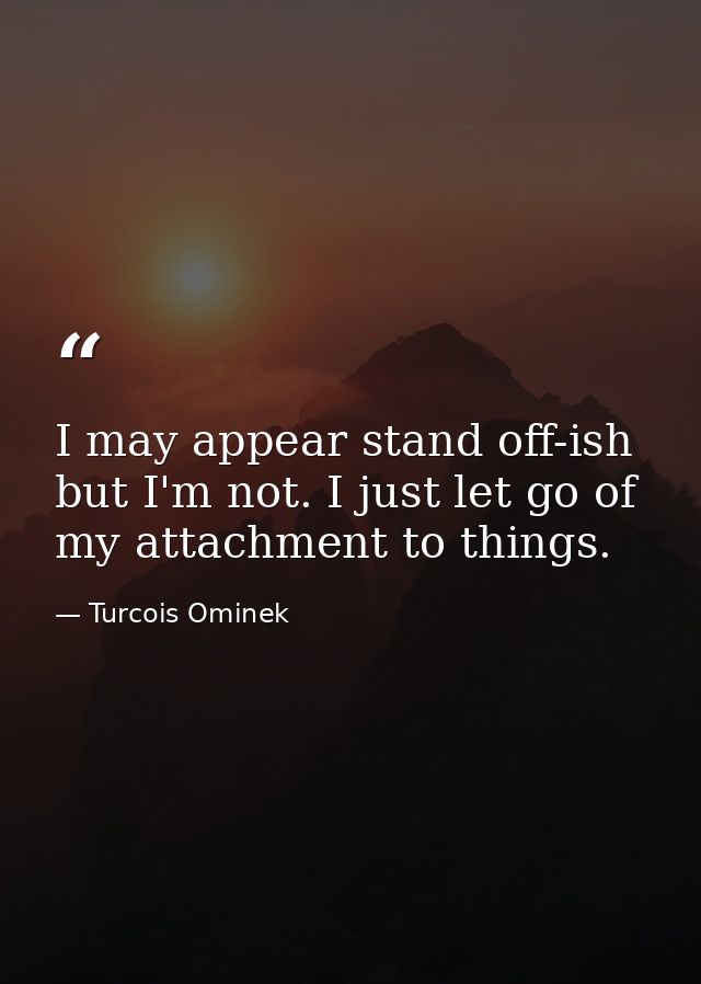 I may appear stand off-ish but I'm not. I just let go of my attachment to things. — Turcois Ominek