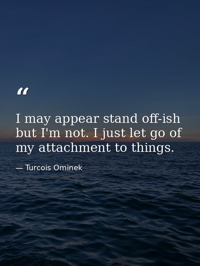 I may appear stand off-ish but I'm not. I just let go of my attachment to things. — Turcois Ominek