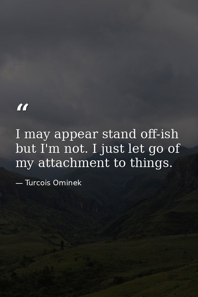 I may appear stand off-ish but I'm not. I just let go of my attachment to things. — Turcois Ominek