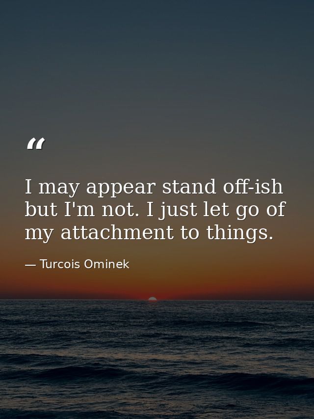 I may appear stand off-ish but I'm not. I just let go of my attachment to things. — Turcois Ominek