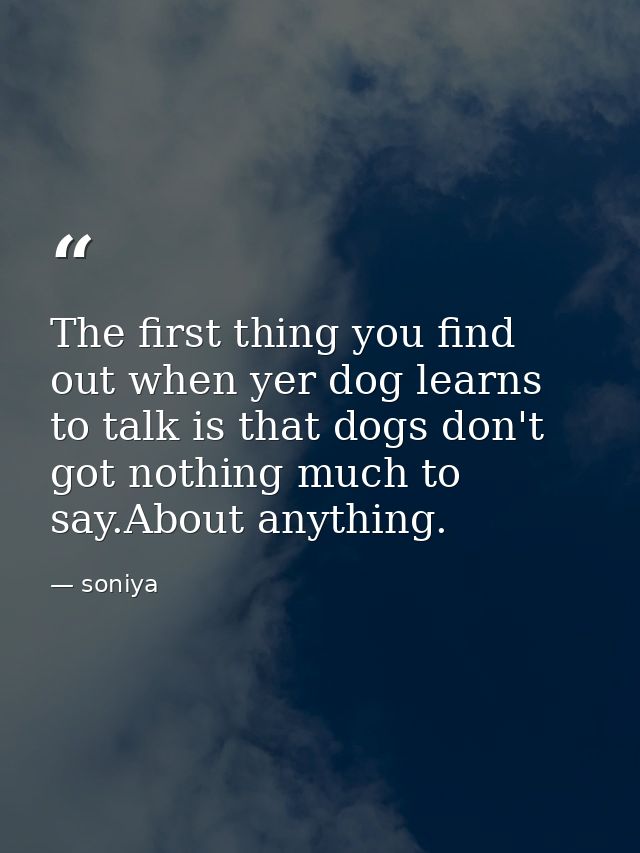 The first thing you find out when yer dog learns to talk is that dogs don't got nothing much to say.About anything. — soniya