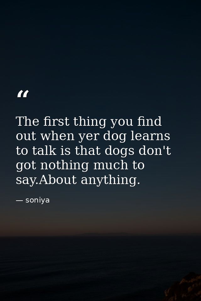The first thing you find out when yer dog learns to talk is that dogs don't got nothing much to say.About anything. — soniya