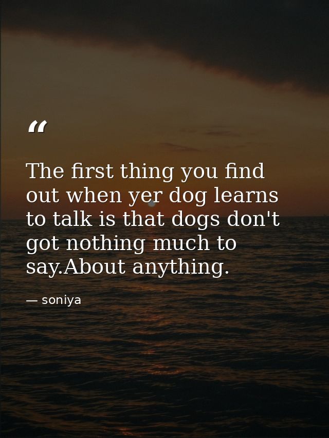 The first thing you find out when yer dog learns to talk is that dogs don't got nothing much to say.About anything. — soniya