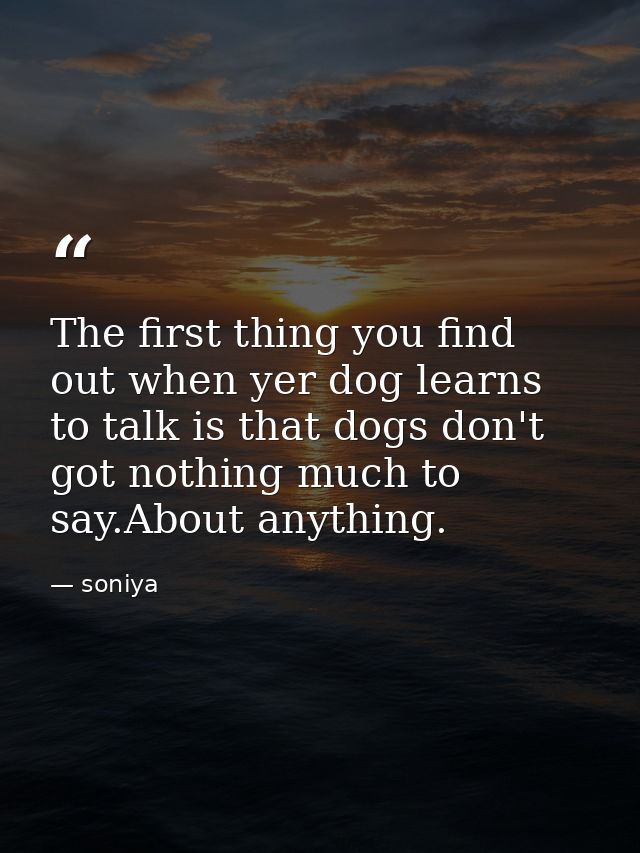 The first thing you find out when yer dog learns to talk is that dogs don't got nothing much to say.About anything. — soniya