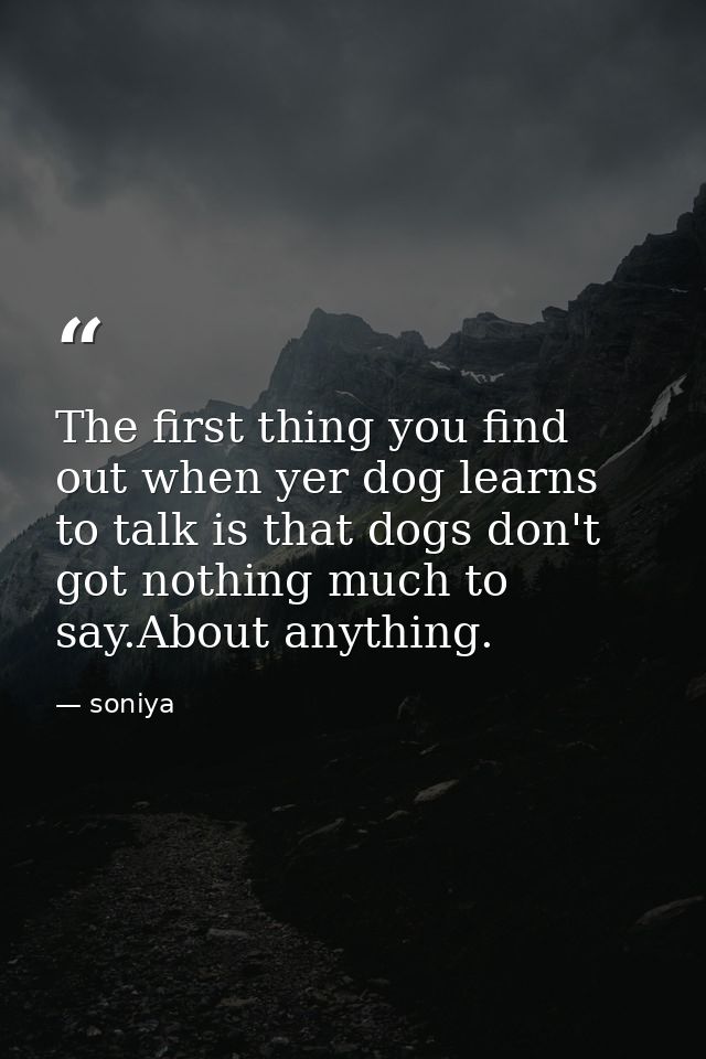 The first thing you find out when yer dog learns to talk is that dogs don't got nothing much to say.About anything. — soniya