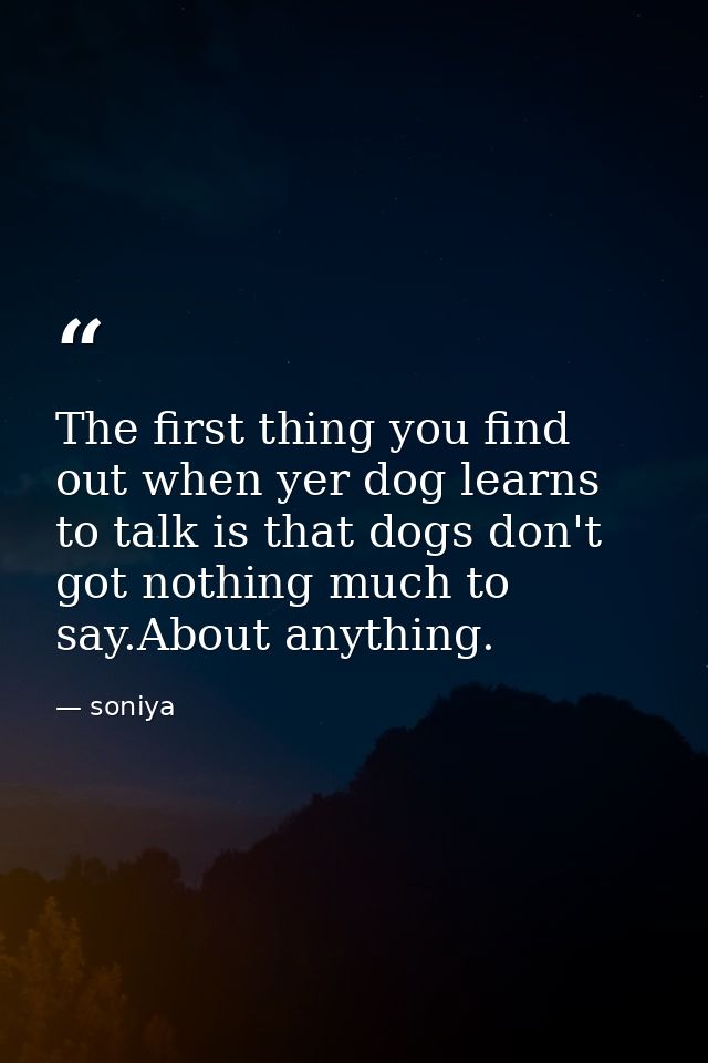 The first thing you find out when yer dog learns to talk is that dogs don't got nothing much to say.About anything. — soniya