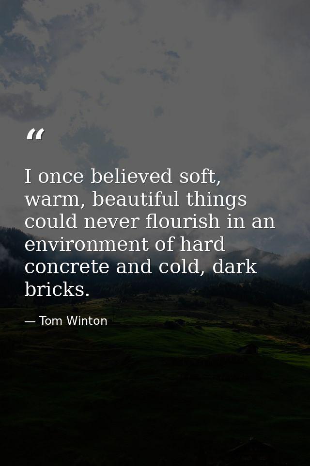 I once believed soft, warm, beautiful things could never flourish in an environment of hard concrete and cold, dark bric — Tom Winton