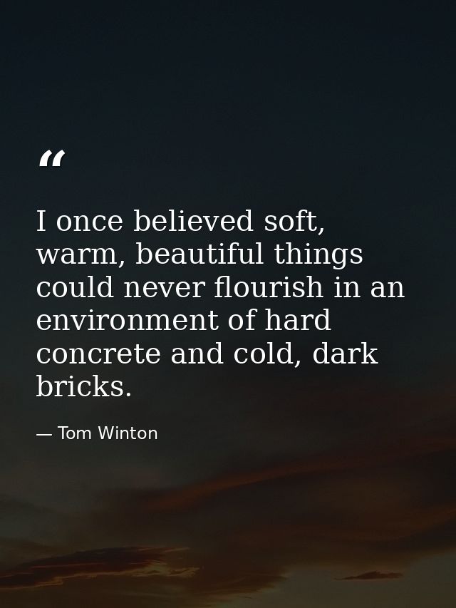 I once believed soft, warm, beautiful things could never flourish in an environment of hard concrete and cold, dark bric — Tom Winton
