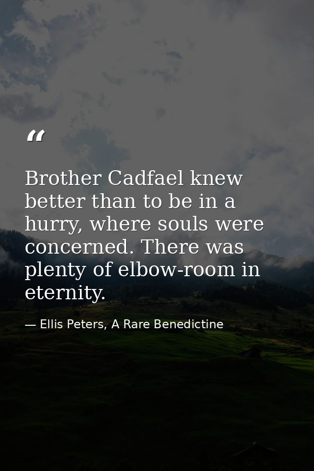 Brother Cadfael knew better than to be in a hurry, where souls were concerned. There was plenty of elbow-room in eternit — Ellis Peters, A Rare Benedictine
