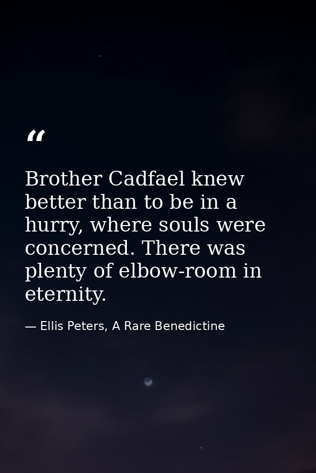Brother Cadfael knew better than to be in a hurry, where souls were concerned. There was plenty of elbow-room in eternit — Ellis Peters, A Rare Benedictine