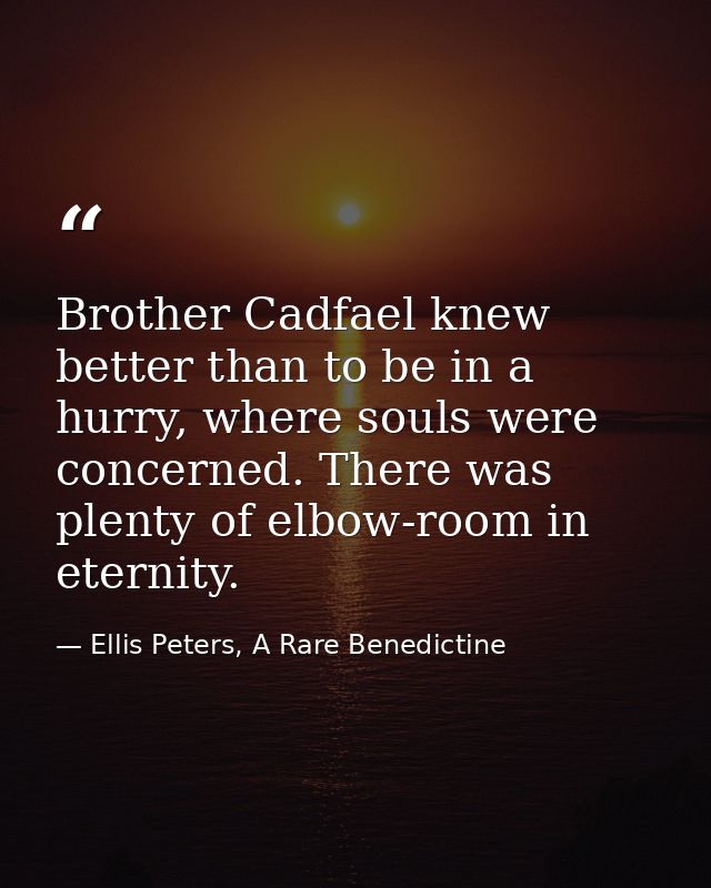 Brother Cadfael knew better than to be in a hurry, where souls were concerned. There was plenty of elbow-room in eternit — Ellis Peters, A Rare Benedictine