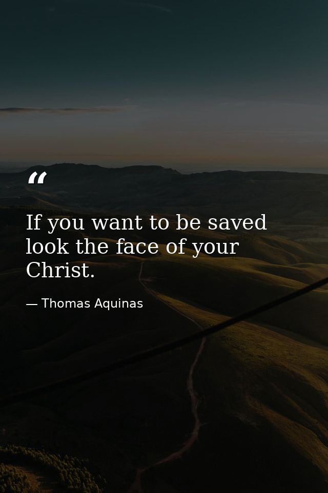 If you want to be saved look the face of your Christ. — Thomas Aquinas