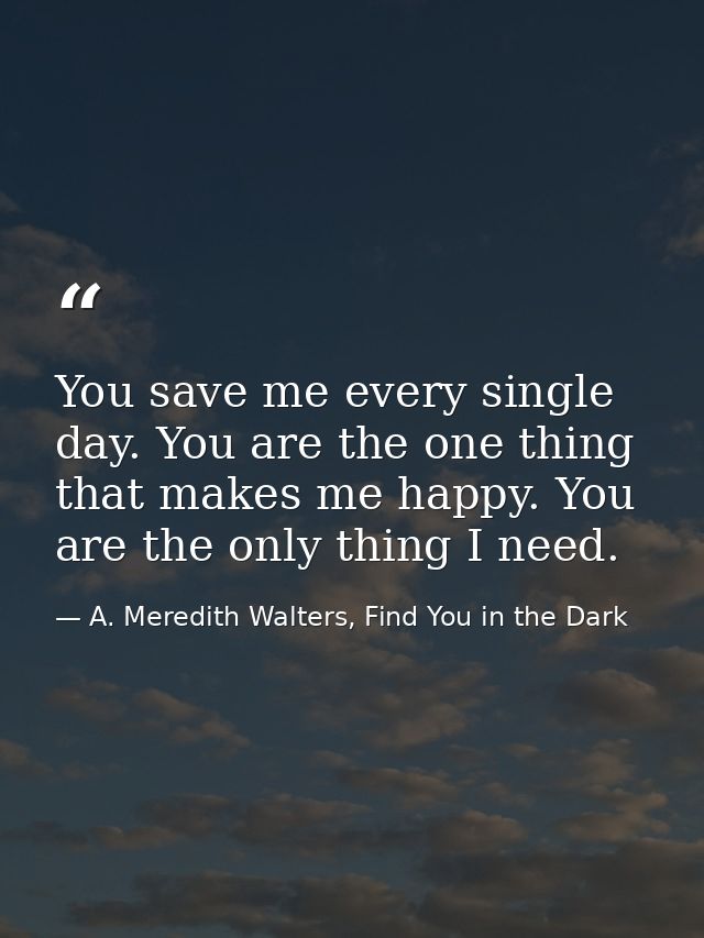 You save me every single day. You are the one thing that makes me happy. You are the only thing I need. — A. Meredith Walters, Find You in the Dark