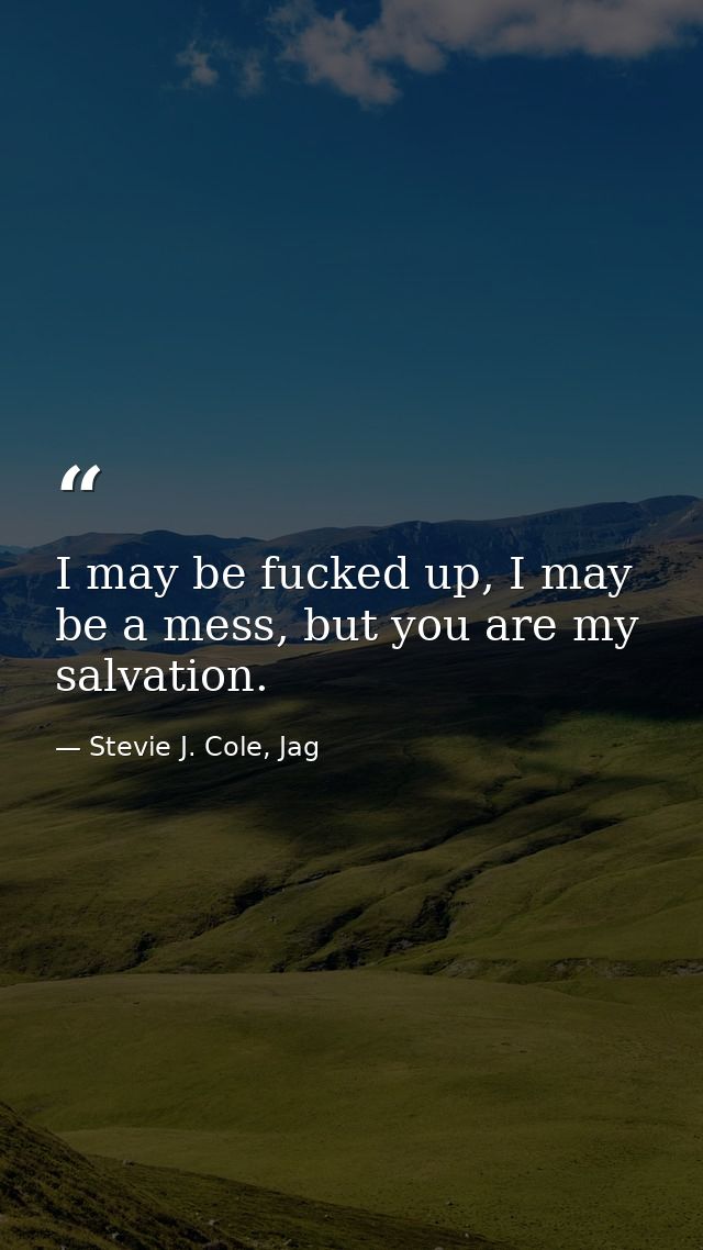 I may be fucked up, I may be a mess, but you are my salvation. — Stevie J. Cole, Jag