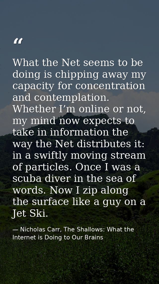 What the Net seems to be doing is chipping away my capacity for concentration and contemplation. Whether I’m online or n — Nicholas Carr, The Shallows: What the Internet is Doing to Our Brains
