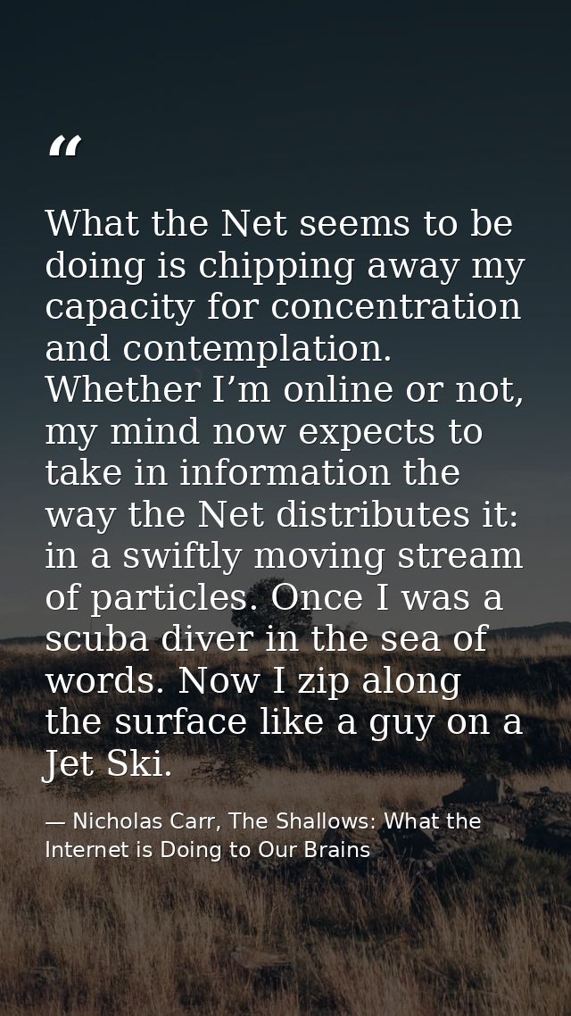 What the Net seems to be doing is chipping away my capacity for concentration and contemplation. Whether I’m online or n — Nicholas Carr, The Shallows: What the Internet is Doing to Our Brains