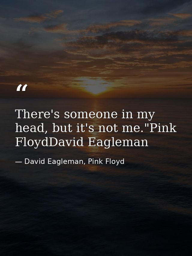 There's someone in my head, but it's not me."Pink FloydDavid Eagleman — David Eagleman, Pink Floyd