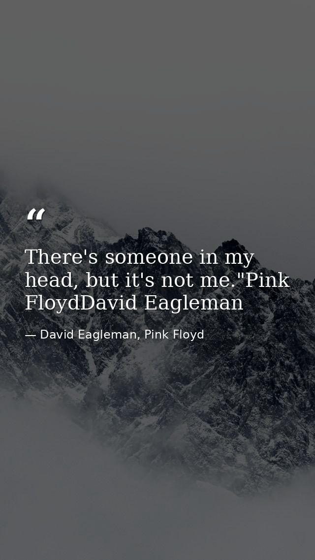 There's someone in my head, but it's not me."Pink FloydDavid Eagleman — David Eagleman, Pink Floyd