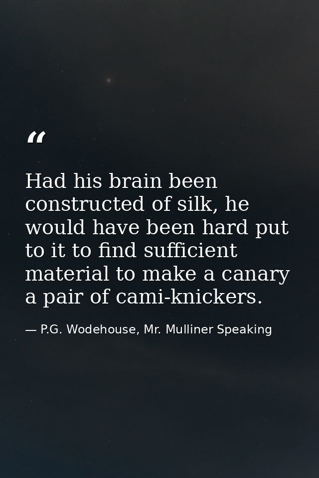 Had his brain been constructed of silk, he would have been hard put to it to find sufficient material to make a canary a — P.G. Wodehouse, Mr. Mulliner Speaking