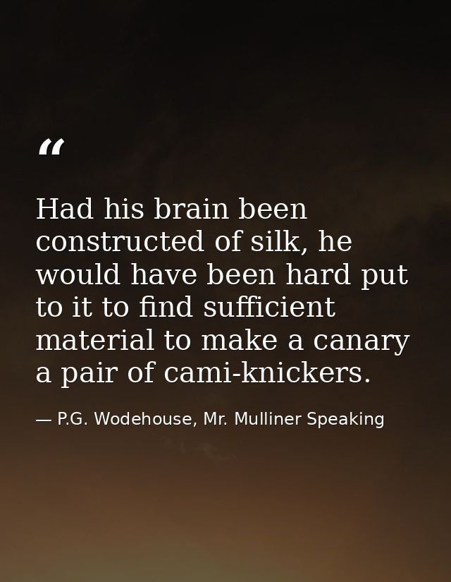 Had his brain been constructed of silk, he would have been hard put to it to find sufficient material to make a canary a — P.G. Wodehouse, Mr. Mulliner Speaking