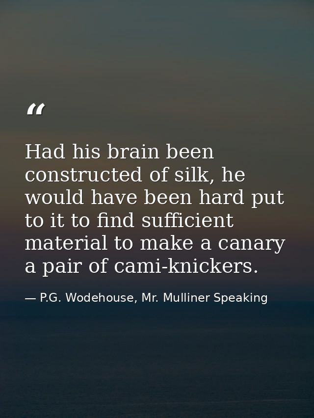 Had his brain been constructed of silk, he would have been hard put to it to find sufficient material to make a canary a — P.G. Wodehouse, Mr. Mulliner Speaking
