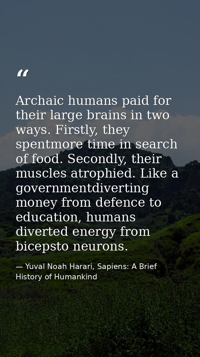 Archaic humans paid for their large brains in two ways. Firstly, they spentmore time in search of food. Secondly, their  — Yuval Noah Harari, Sapiens: A Brief History of Humankind