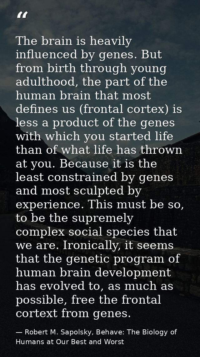 The brain is heavily influenced by genes. But from birth through young adulthood, the part of the human brain that most  — Robert M. Sapolsky, Behave: The Biology of Humans at Our Best and Worst