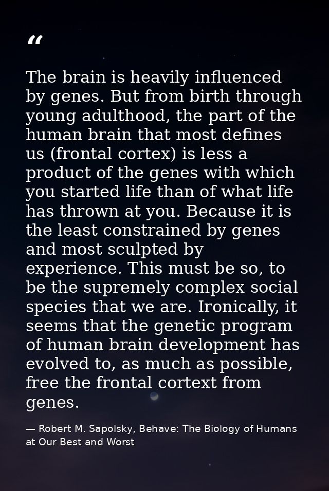 The brain is heavily influenced by genes. But from birth through young adulthood, the part of the human brain that most  — Robert M. Sapolsky, Behave: The Biology of Humans at Our Best and Worst