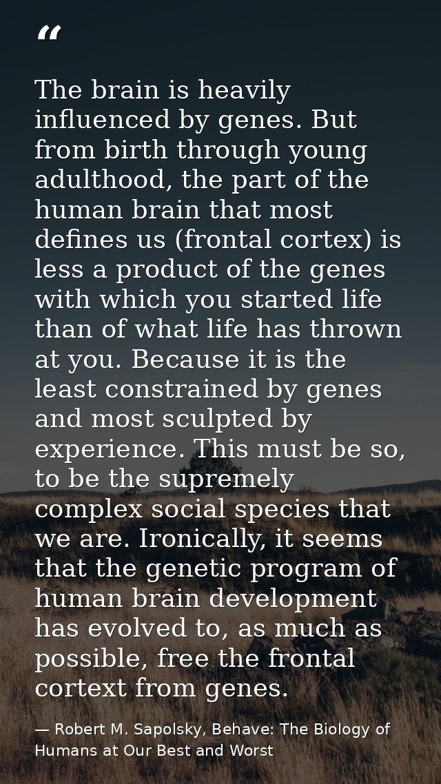 The brain is heavily influenced by genes. But from birth through young adulthood, the part of the human brain that most  — Robert M. Sapolsky, Behave: The Biology of Humans at Our Best and Worst