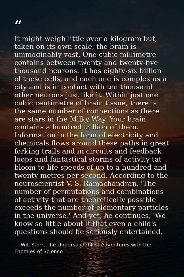 It might weigh little over a kilogram but, taken on its own scale, the brain is unimaginably vast. One cubic millimetre  — Will Storr, The Unpersuadables: Adventures with the Enemies of Science