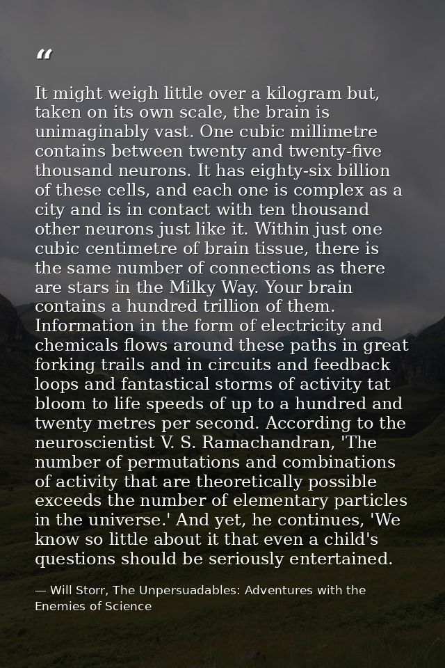 It might weigh little over a kilogram but, taken on its own scale, the brain is unimaginably vast. One cubic millimetre  — Will Storr, The Unpersuadables: Adventures with the Enemies of Science