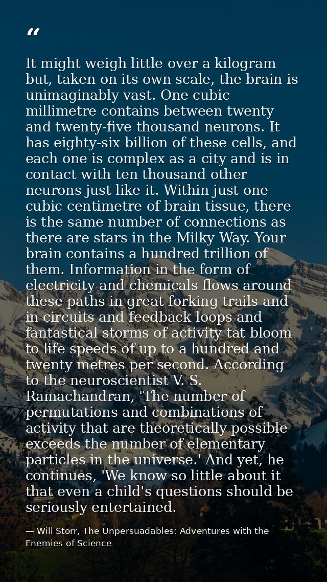 It might weigh little over a kilogram but, taken on its own scale, the brain is unimaginably vast. One cubic millimetre  — Will Storr, The Unpersuadables: Adventures with the Enemies of Science