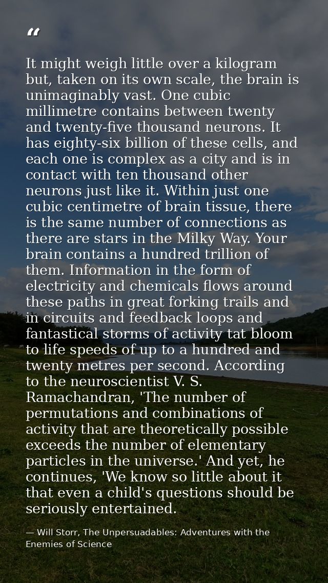 It might weigh little over a kilogram but, taken on its own scale, the brain is unimaginably vast. One cubic millimetre  — Will Storr, The Unpersuadables: Adventures with the Enemies of Science