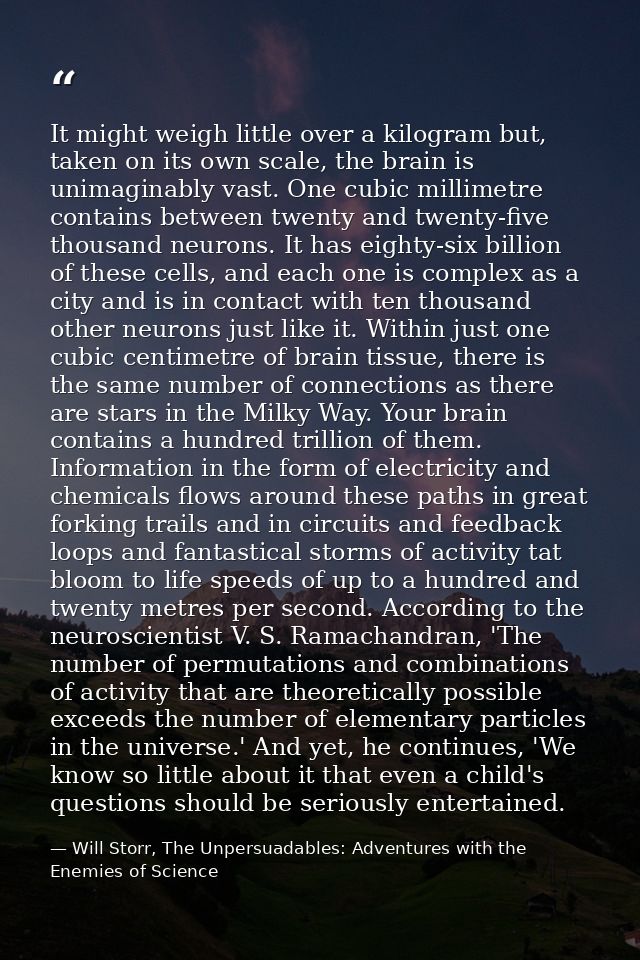 It might weigh little over a kilogram but, taken on its own scale, the brain is unimaginably vast. One cubic millimetre  — Will Storr, The Unpersuadables: Adventures with the Enemies of Science