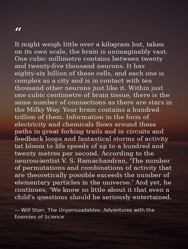 It might weigh little over a kilogram but, taken on its own scale, the brain is unimaginably vast. One cubic millimetre  — Will Storr, The Unpersuadables: Adventures with the Enemies of Science