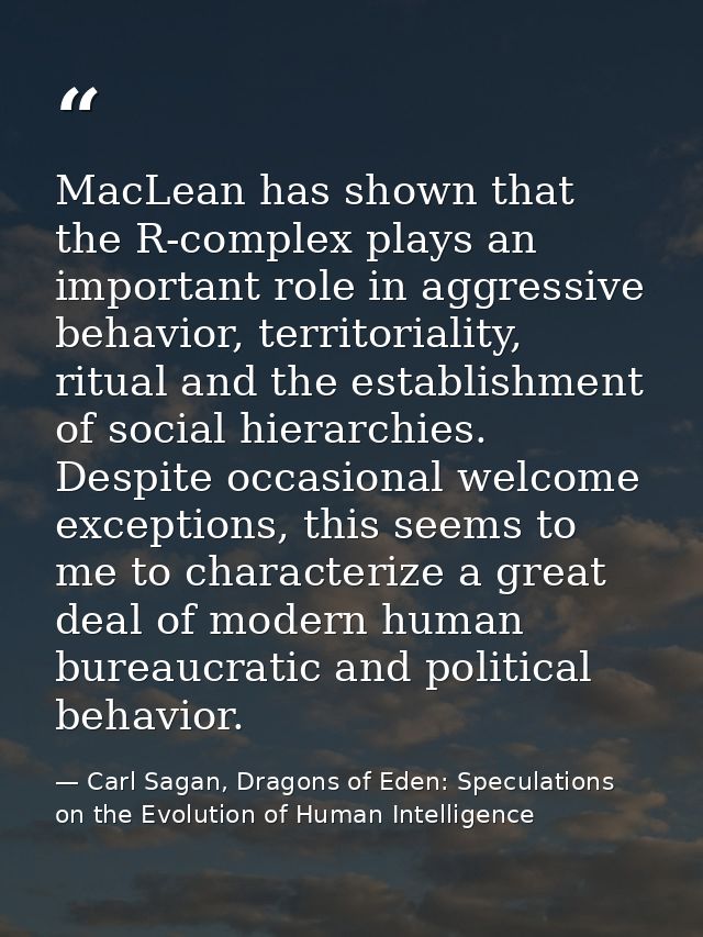 MacLean has shown that the R-complex plays an important role in aggressive behavior, territoriality, ritual and the esta — Carl Sagan, Dragons of Eden: Speculations on the Evolution of Human Intelligence