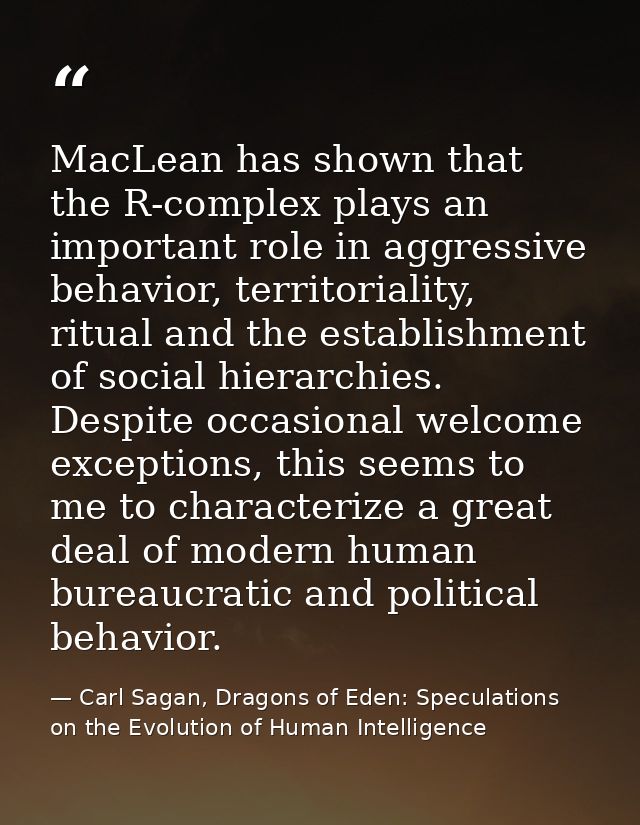 MacLean has shown that the R-complex plays an important role in aggressive behavior, territoriality, ritual and the esta — Carl Sagan, Dragons of Eden: Speculations on the Evolution of Human Intelligence