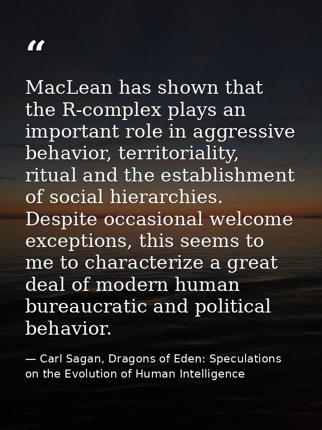 MacLean has shown that the R-complex plays an important role in aggressive behavior, territoriality, ritual and the esta — Carl Sagan, Dragons of Eden: Speculations on the Evolution of Human Intelligence